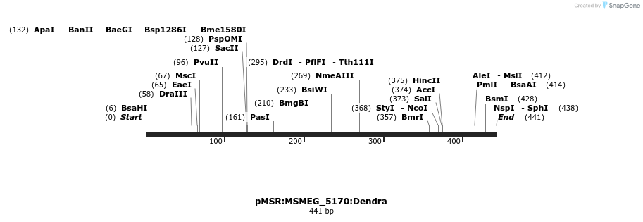325223_map