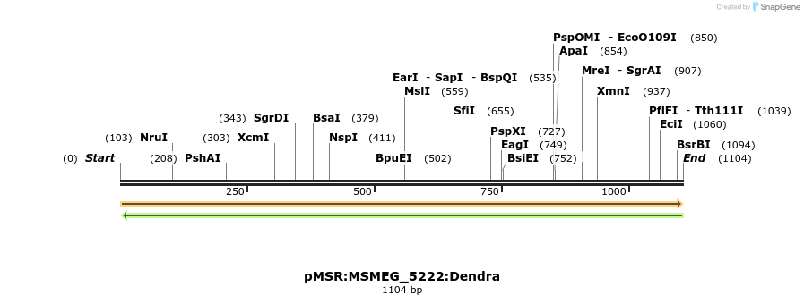 325224_map