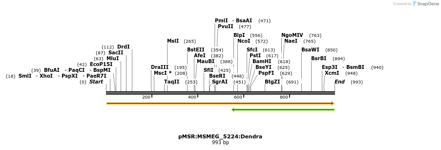325225_map