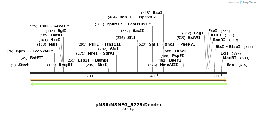 325226_map