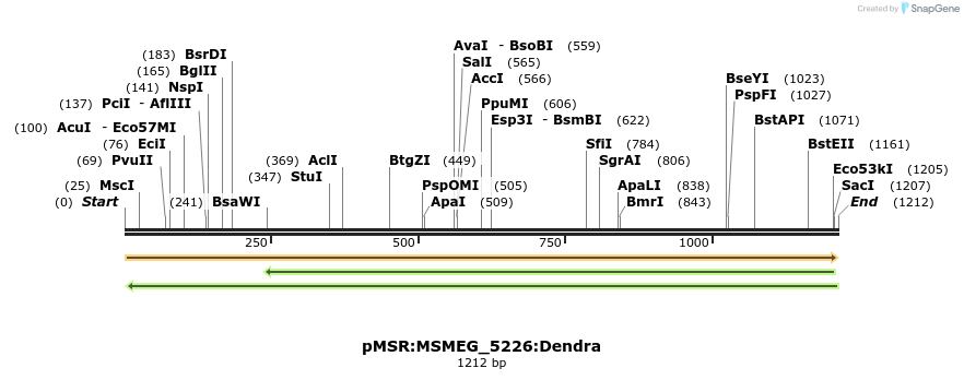 325227_map