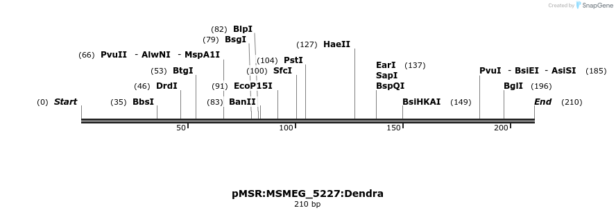 325228_map