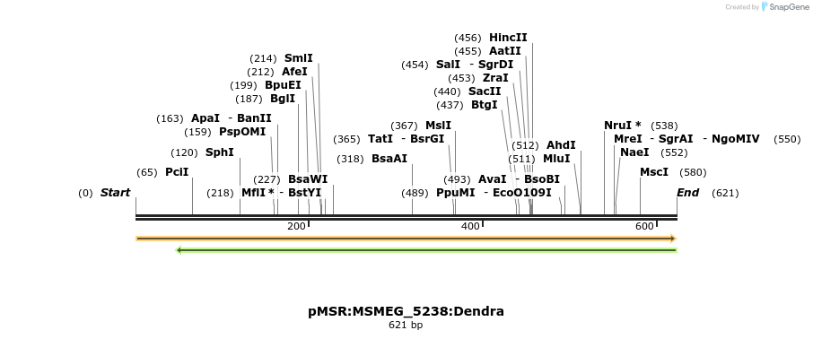325229_map