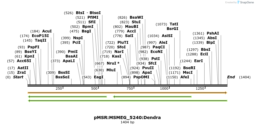 325231_map