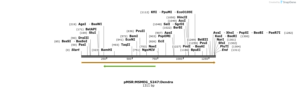 325232_map