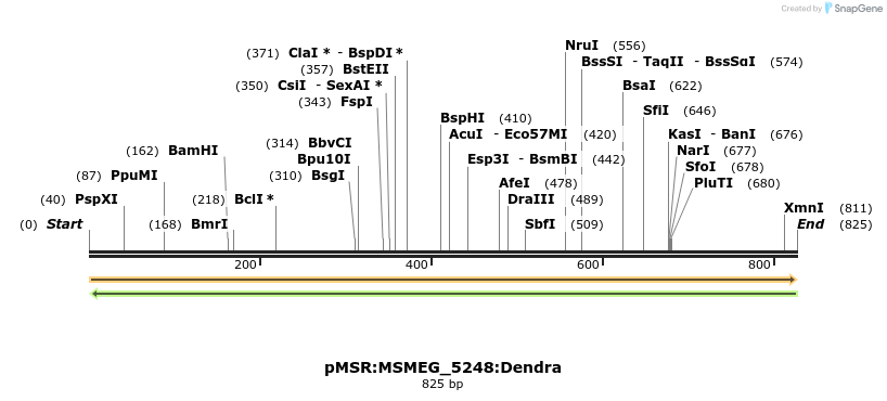 325233_map