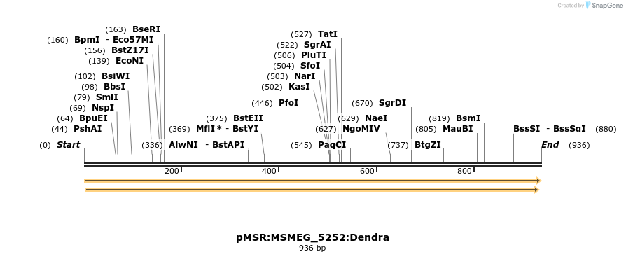 325234_map