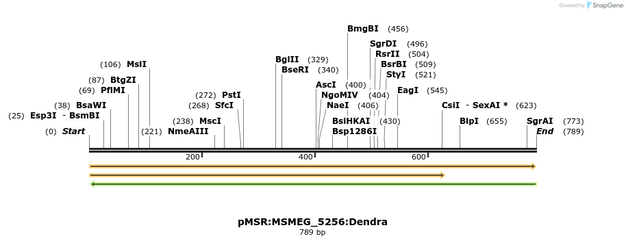 325235_map