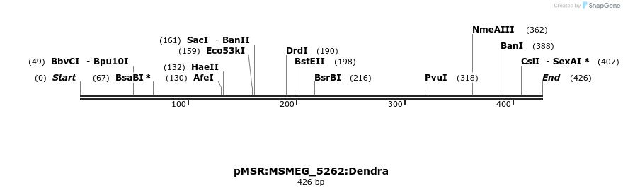 325237_map