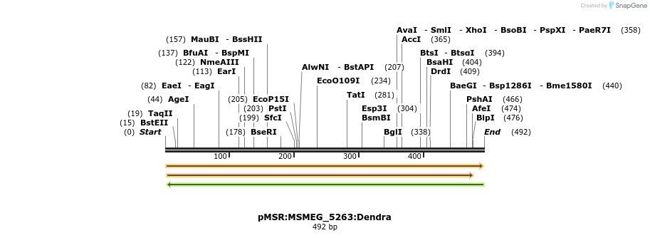 325238_map