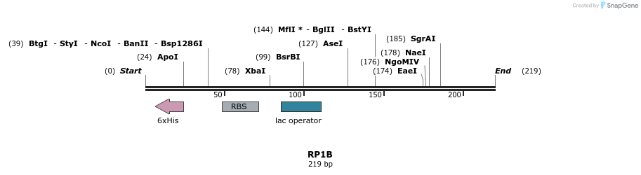 32524_map