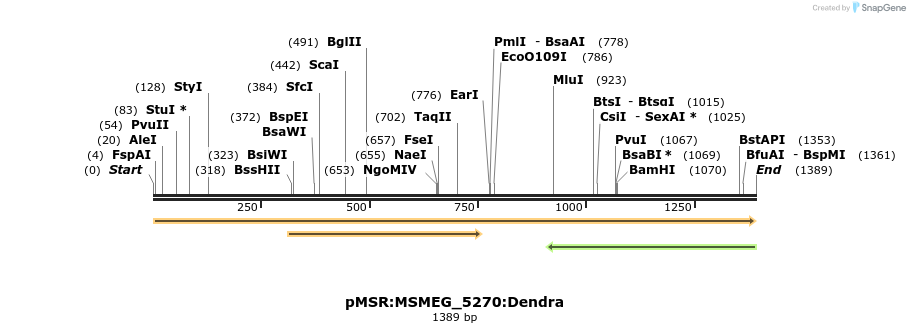 325240_map