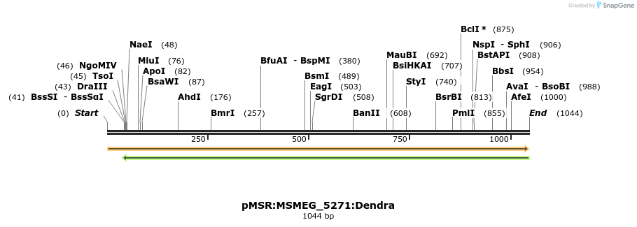 325241_map