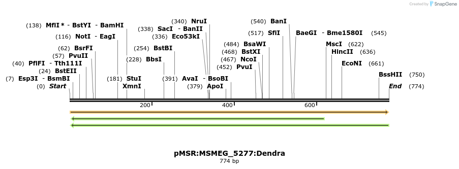 325244_map