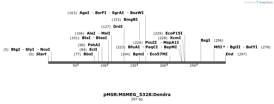 325245_map