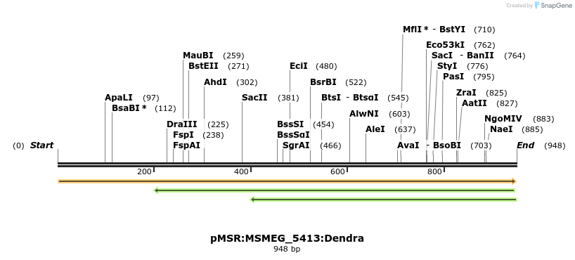 325246_map