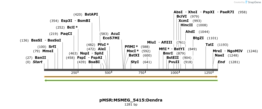 325247_map