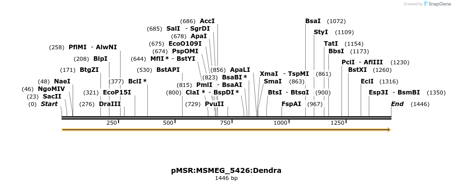 325248_map