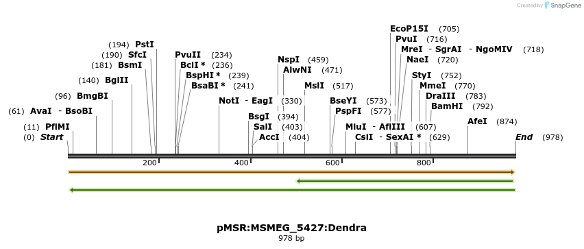 325249_map