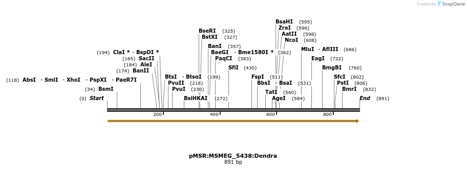 325253_map