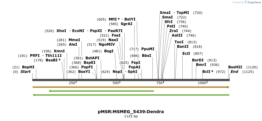 325254_map