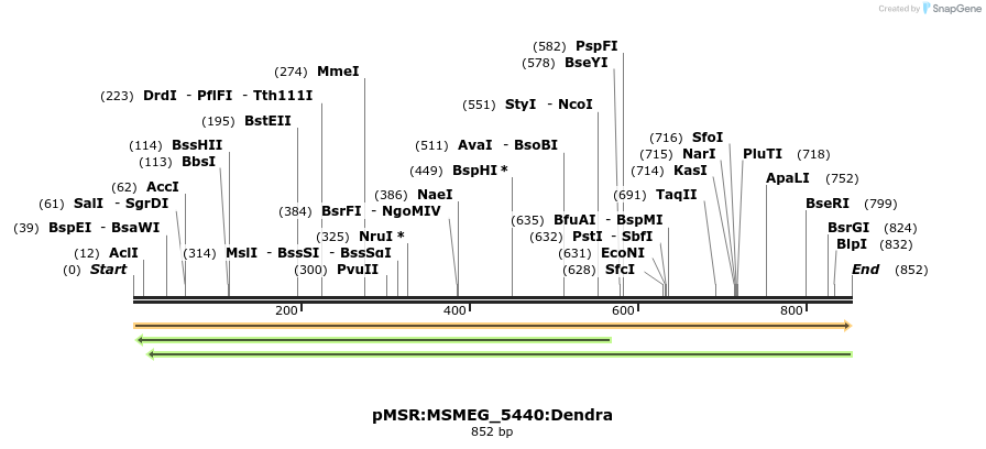 325255_map