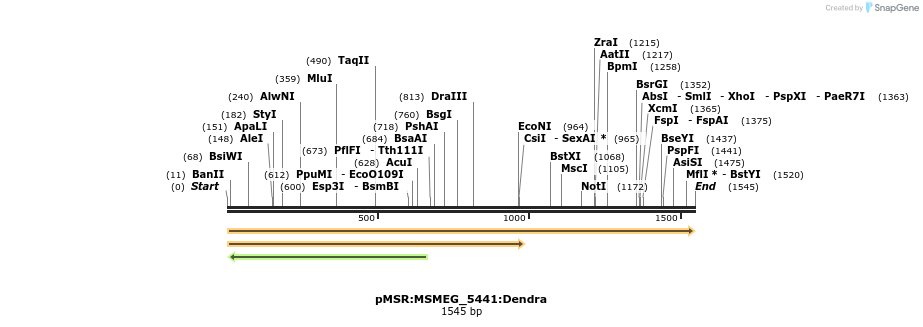 325256_map