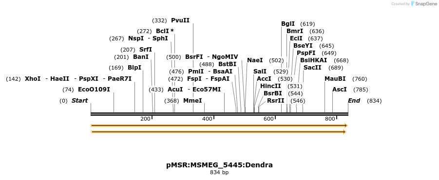 325257_map