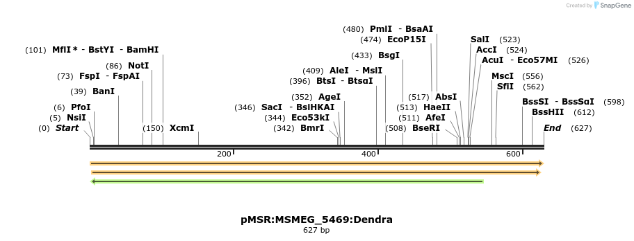325260_map