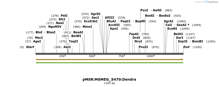 325261_map