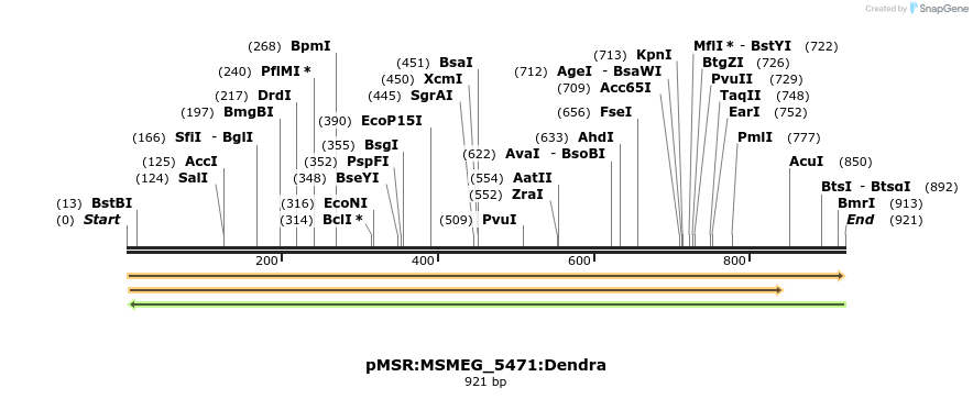 325262_map
