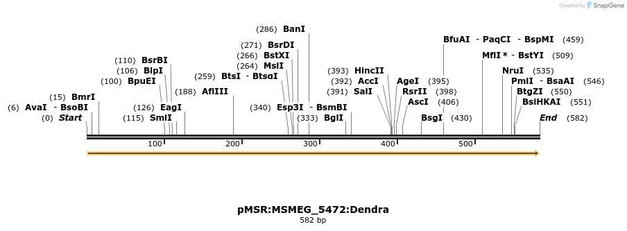 325263_map