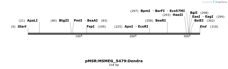 325264_map