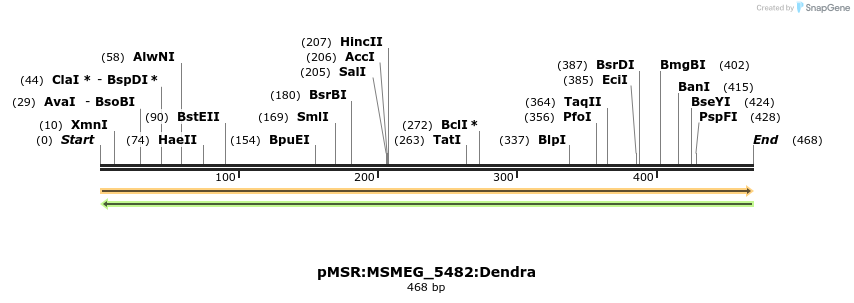 325265_map