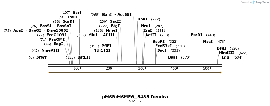 325266_map
