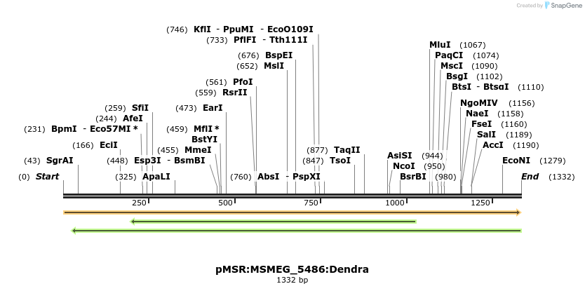 325267_map