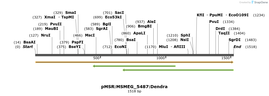 325268_map