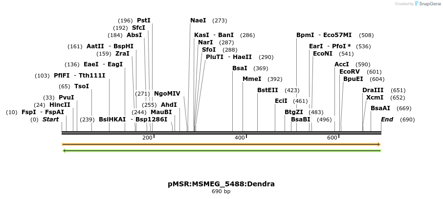 325269_map