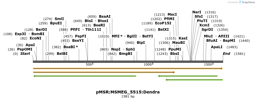 325270_map