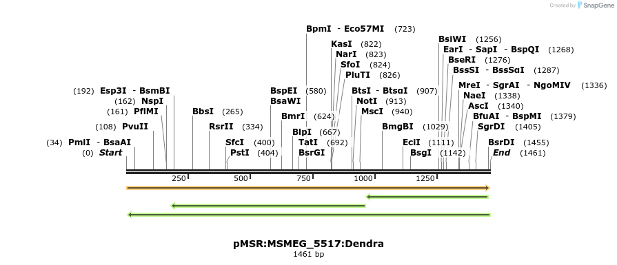 325271_map