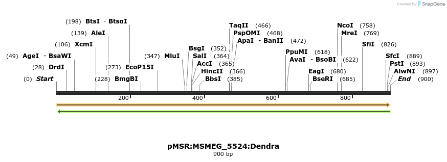 325272_map