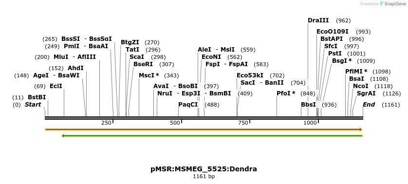 325273_map