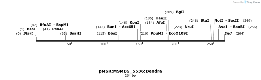 325275_map