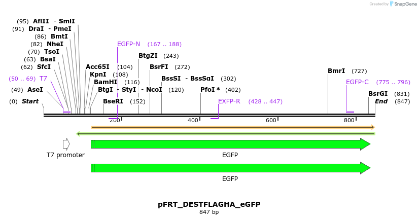 32528_map