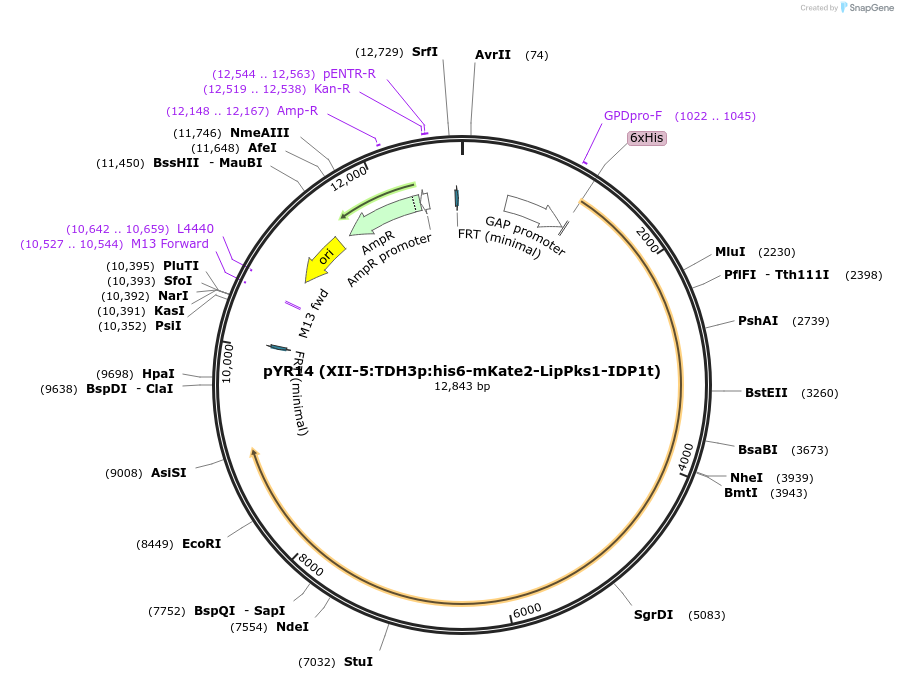 325284_map
