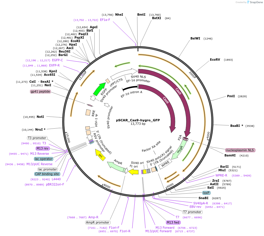 325304_map