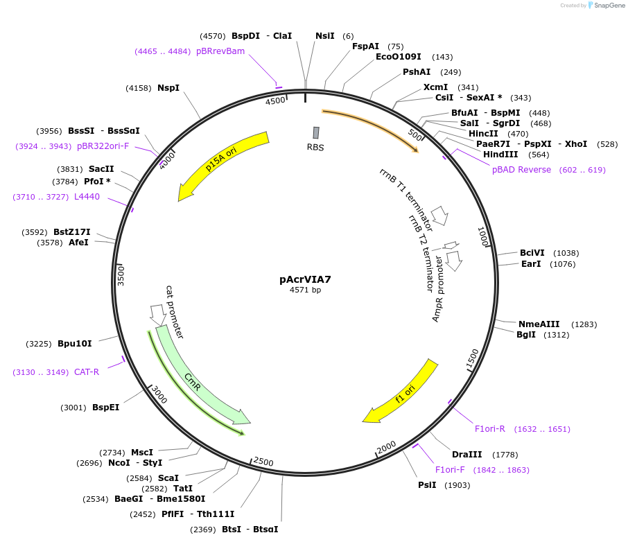 325314_map