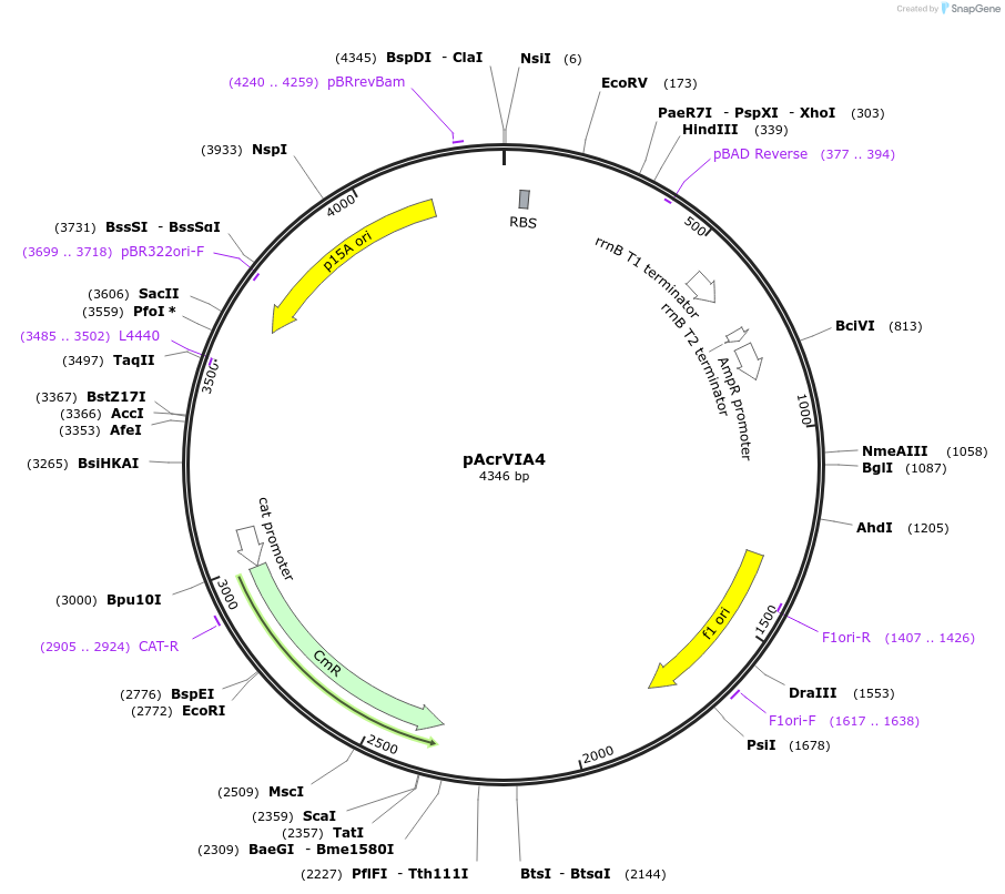 325315_map