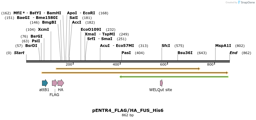 32533_map