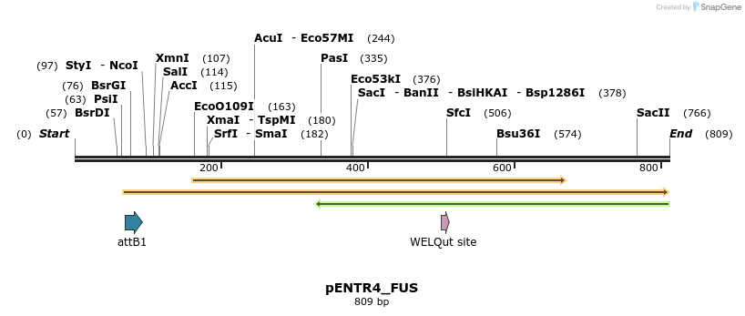 32534_map